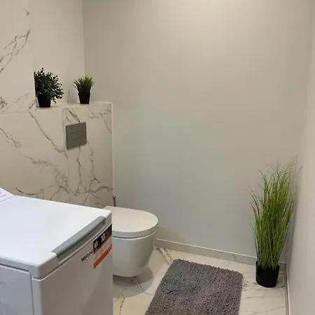 Korter Graf Zeppelini *